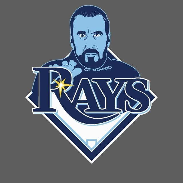 Tampa Bay Rays Star Wars Logo iron on transfers